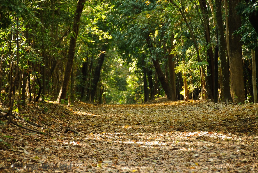 20110820_BH_036.jpg
