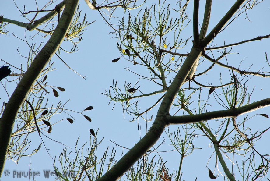20110820_BH_040.jpg