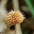 20110820_BH_041.jpg