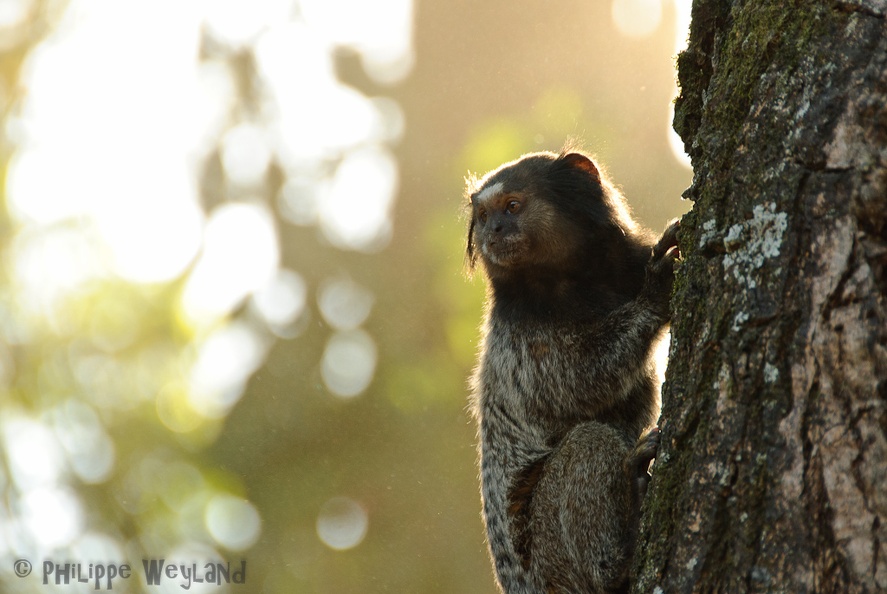 20110820_BH_057.jpg