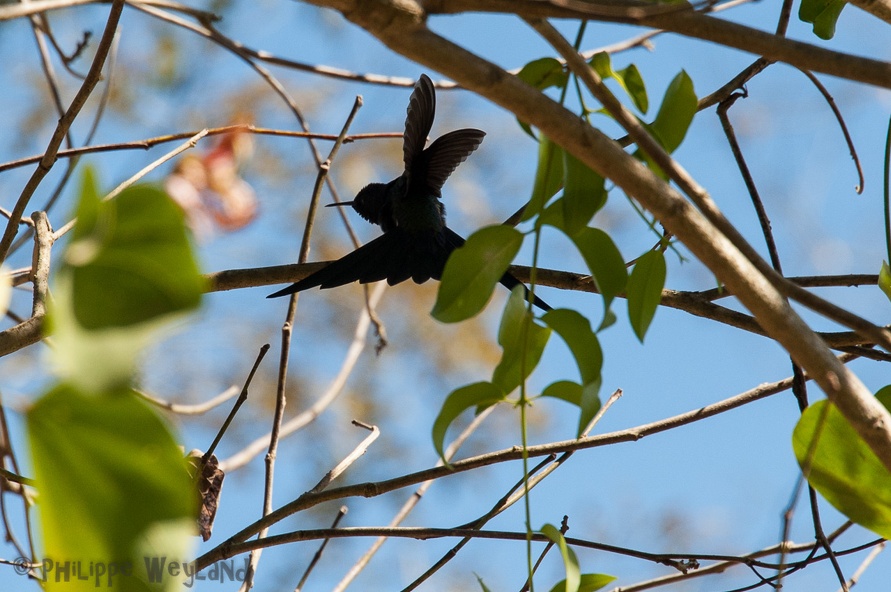 20140706_Ipoema_006.jpg
